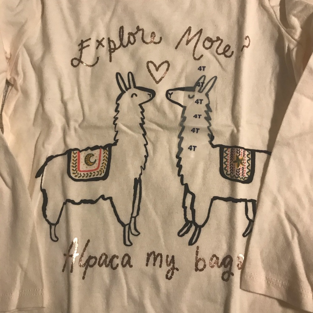 4T old navy shirts